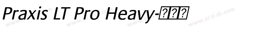 Praxis LT Pro Heavy字体转换